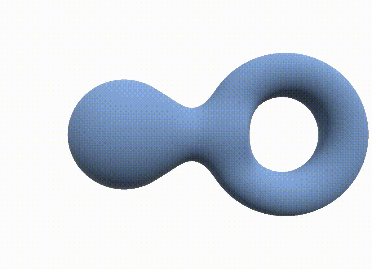 geometric_singularity